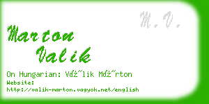 marton valik business card